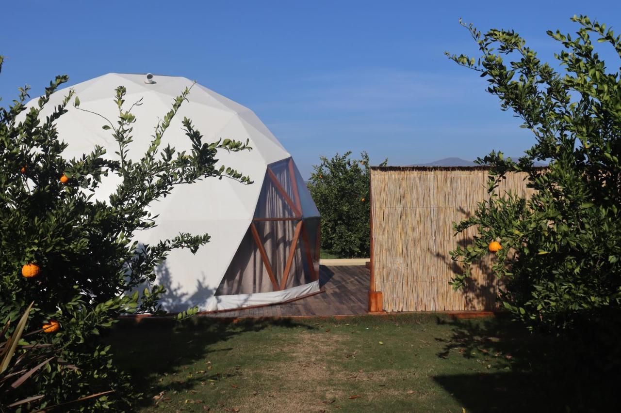 Mandalin Glamping Hotel Selcuk ภายนอก รูปภาพ