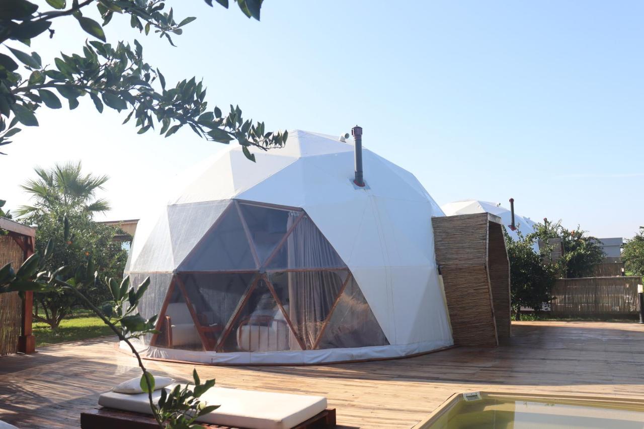 Mandalin Glamping Hotel Selcuk ภายนอก รูปภาพ